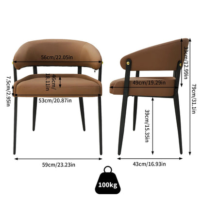 Lot de 2 chaises de salle à manger